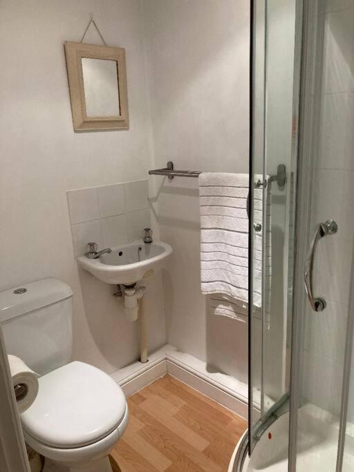 Studio Annexe With Separate Shower Room Broadhempston Экстерьер фото